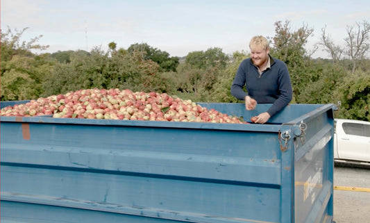 Apple Harvest: A Tale of Apple-y Ever After