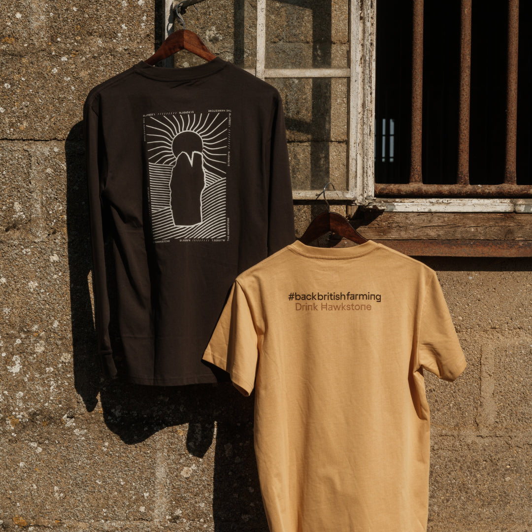 Hawkstone Sunshine Long Sleeve T-Shirt