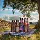 Summer Sips Bundle 